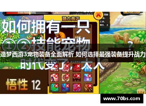 造梦西游3宠物装备全面解析 如何选择最强装备提升战力